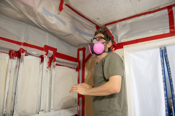 Mold Removal for HVAC Installations in Lewiston, CA
